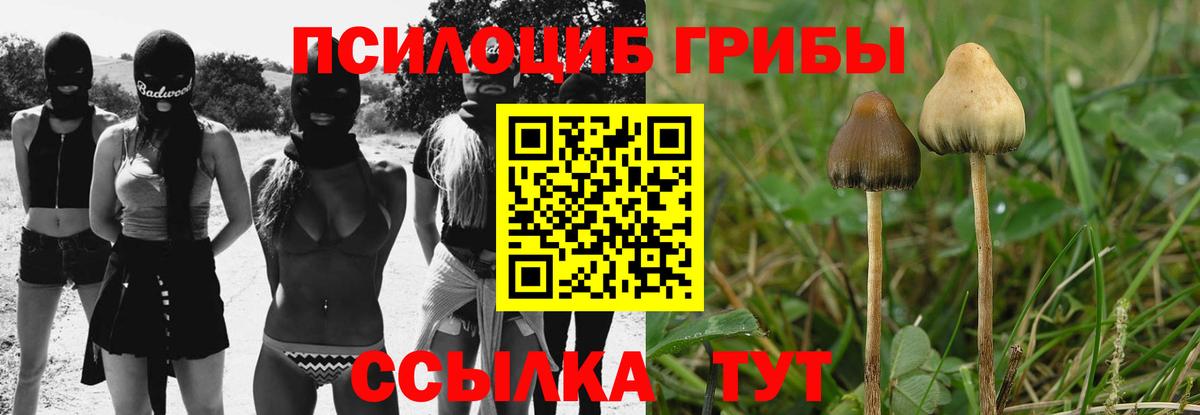 Химки  Галлюциногенные грибы Magic Shrooms  Вход с VPN  Галлюциногенные грибы ЛСД 